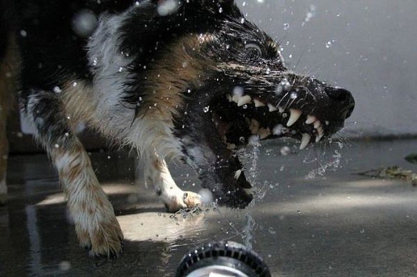   :3 - 11  2014  11:40