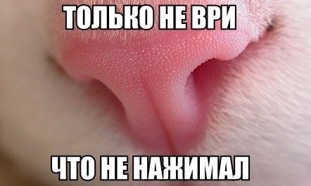  -  - 13  2014  11:32