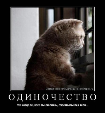 ������ - 27 ���� 2014 � 05:31