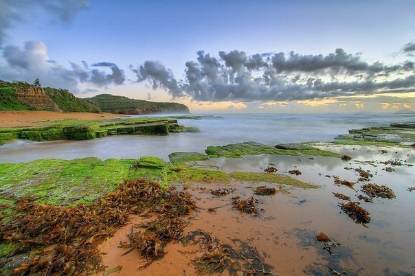    .   (Turimetta Beach) -     ... - 5
