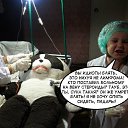 ���� ������, ����, 49 ��� - ��������� 30 ���� 2014 � ������ ������ ��������