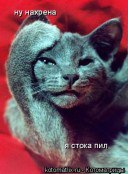 ���� �����, ������ ��������, 55 ��� - ��������� 29 ��� 2014 � ������ ���� ����������