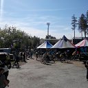���� ������, ������������, 37 ��� - ��������� 1 ���� 2014 � ������ ������ ��������