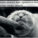 ���� ������, ����� - ��������� 7 ������ 2014 � ������ ���� ����������