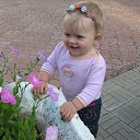 ���� ����, ������ ���, 54 ���� - ��������� 17 ����� 2014 � ������ ����� ��� ������������