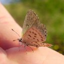 � ��� �... �� ������� ������� ������ � ���..�