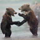 ���� Madam, �����-��������� - ��������� 20 ���� 2014 � ������ ������ ��������