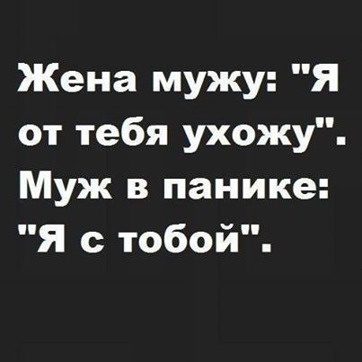   |  |  - 24  2014  10:40