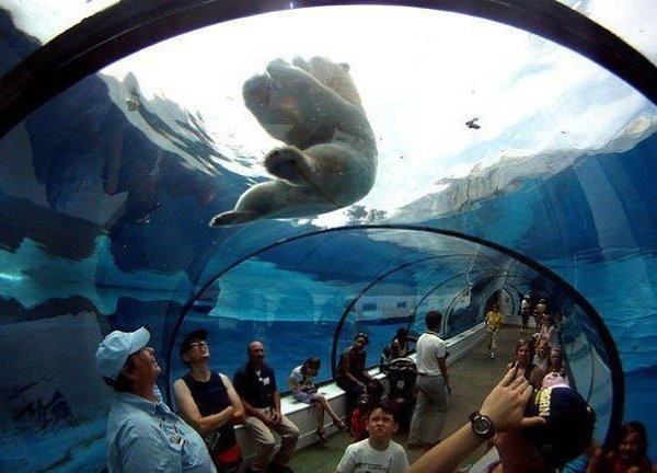   : http://fotostrana.ru/public/233467 ;-)     ...