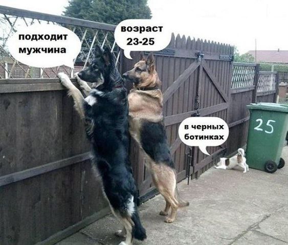 *Leno4ka* - 15 июня 2014 в 17:06