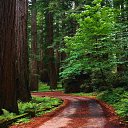 ���� Volk, �������, 46 ��� - ��������� 22 ��� 2014 � ������ ������ ��������