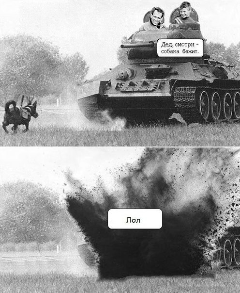 ☆ ☆ - 17  2014  20:08