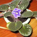 ���� �����, ������ �������� - ��������� 22 ����� 2014 � ������ �������