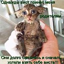 ���� ������, �����-��������� - ��������� 4 ��� 2014 � ������ ������ ��������