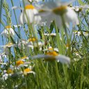  ++, , 55  -  10  2014     