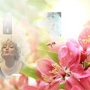 ���� �����, �����-��������� - ��������� 9 ������ 2014 � ������ ���� ����������