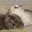 ���� �������, �������, 67 ��� - ��������� 22 ���� 2014 � ������ ������ ��������