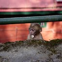 ���� ����, ����, 40 ��� - ��������� 14 ������ 2014 � ������ ��� �����������