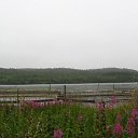   , , 47  -  16  2014   Untitled Album