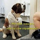 ���� �����, �����, 37 ��� - ��������� 14 ���� 2014 � ������ ������ ��������