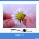 ���� ����, ��������� - ��������� 23 ���� 2014 � ������ ������ ��������