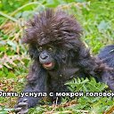 ���� �������, ����-���������, 53 ���� - ��������� 29 ����� 2014 � ������ ������ ��������