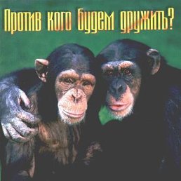 ���� Leo, �������, 64 ���� - ��������� 24 ������ 2014