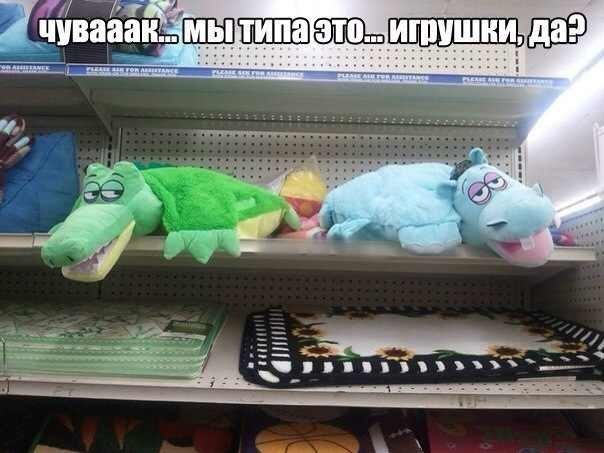    :D - 15  2014  13:20