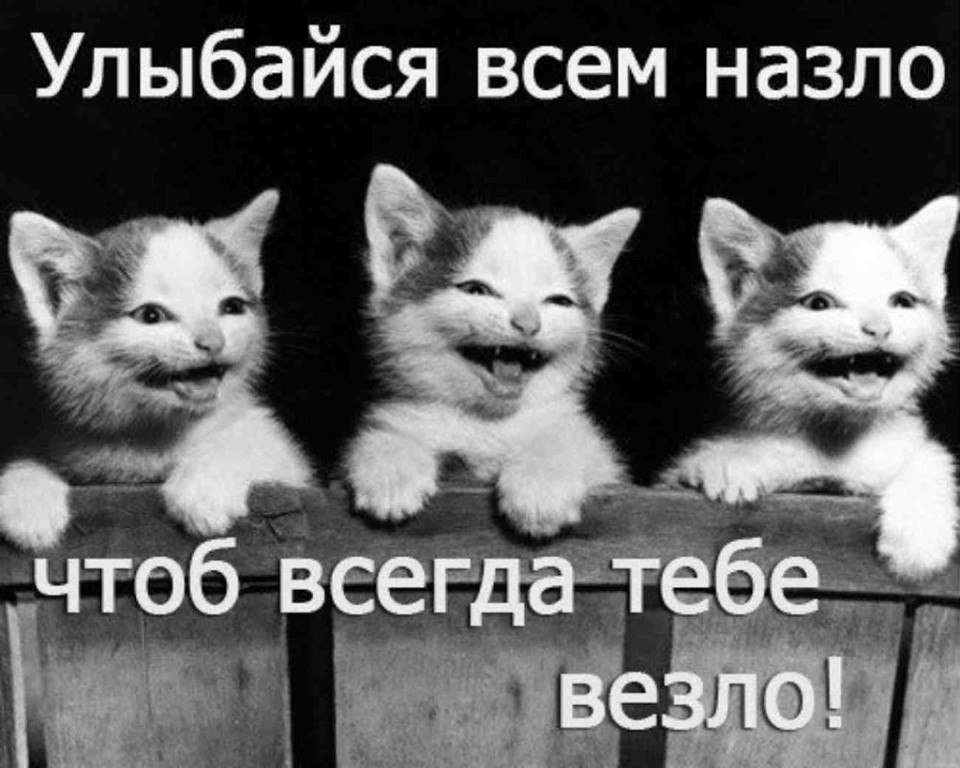 ...[a]_voe_so Le... - 21  2014  09:51