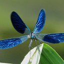  , --, 75  -  27  2014   