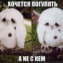 ���� ����, �������� ���, 35 ��� - ��������� 12 ������� 2014 � ������ ������ ��������