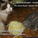 ���� �������, ����-���������, 53 ���� - ��������� 23 ��� 2014 � ������ ������ ��������