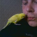 ���� �������, �����������, 42 ���� - ��������� 19 ������� 2014 � ������ ���� ����������