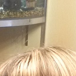 ������, �������, 61 ���