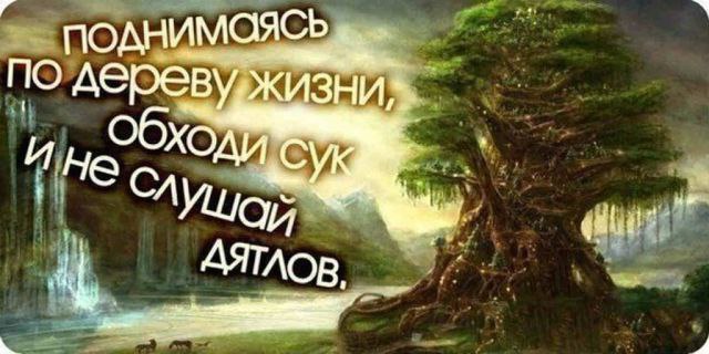  - 3  2014  02:23