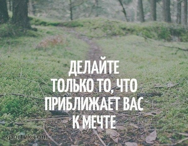 SportFeed - 11  2014  09:18