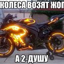  , , 51  -  1  2014    )     )