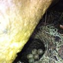  , --, 52  -  18  2014     2014