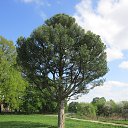 ������������ ���� �� ������� ���� ����������