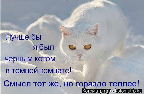 Alex Linadherent - 17  2014  14:18