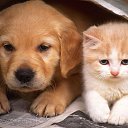 ���� ���������, ������-��-����, 55 ��� - ��������� 26 ����� 2014 � ������ ������ ��������