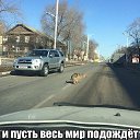 ���� ������, ������, 39 ��� - ��������� 4 ���� 2014 � ������ ������ ��������