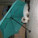 ���� ������, ������ ��������, 56 ��� - ��������� 2 ������� 2014