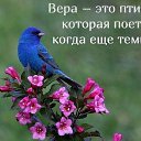 ���� �����, ������ - ��������� 1 ������� 2014 � ������ ������ ��������