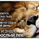 ���� �����, ������������, 40 ��� - ��������� 20 ���� 2014 � ������ ������ ��������