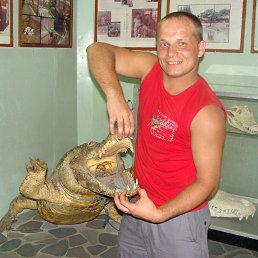 ��������, �����������, 45 ���