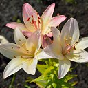 ���� ����������, ������� ��������, 63 ���� - ��������� 16 ���� 2014 � ������ ����� ����