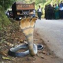 ���� ������, ���������, 60 ��� - ��������� 1 ��� 2014 � ������ ���� ����������