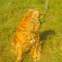  Sasha, , 68  -  24  2014    Ż