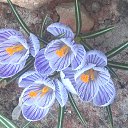 ���� ������, ������, 54 ���� - ��������� 16 ������ 2014 � ������ �������